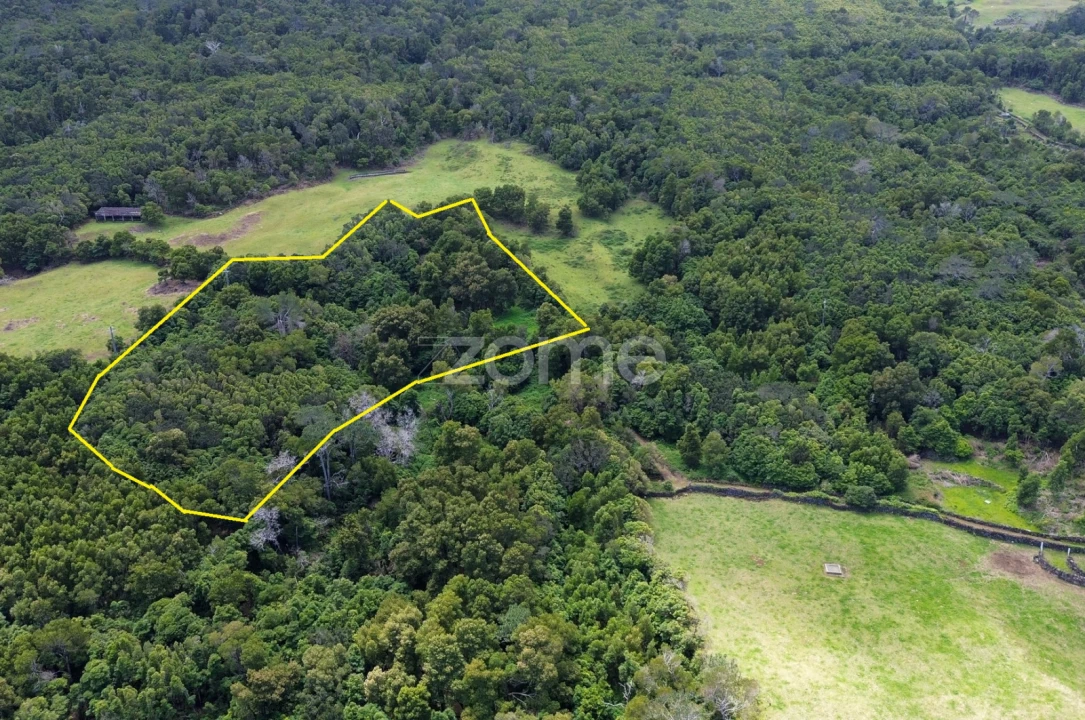 Terreno para Venda em São Roque do Pico Foto 4