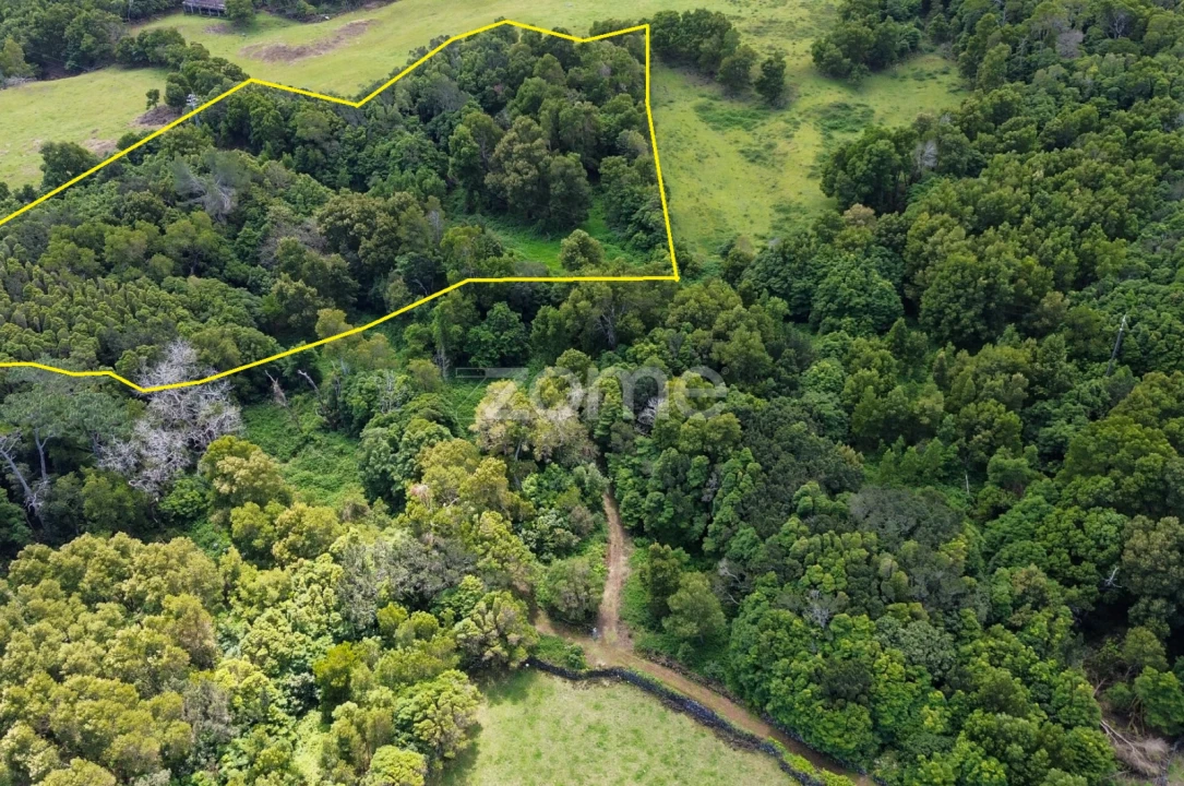 Terreno para Venda em São Roque do Pico Foto 1
