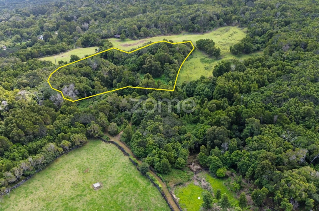 Terreno para Venda em São Roque do Pico Foto 20