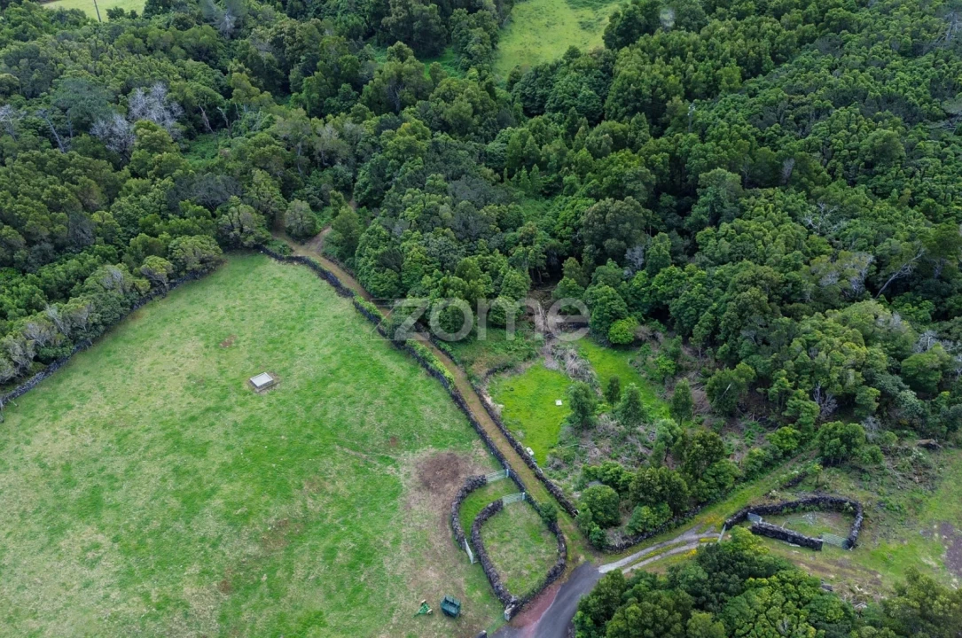 Terreno para Venda em São Roque do Pico Foto 21