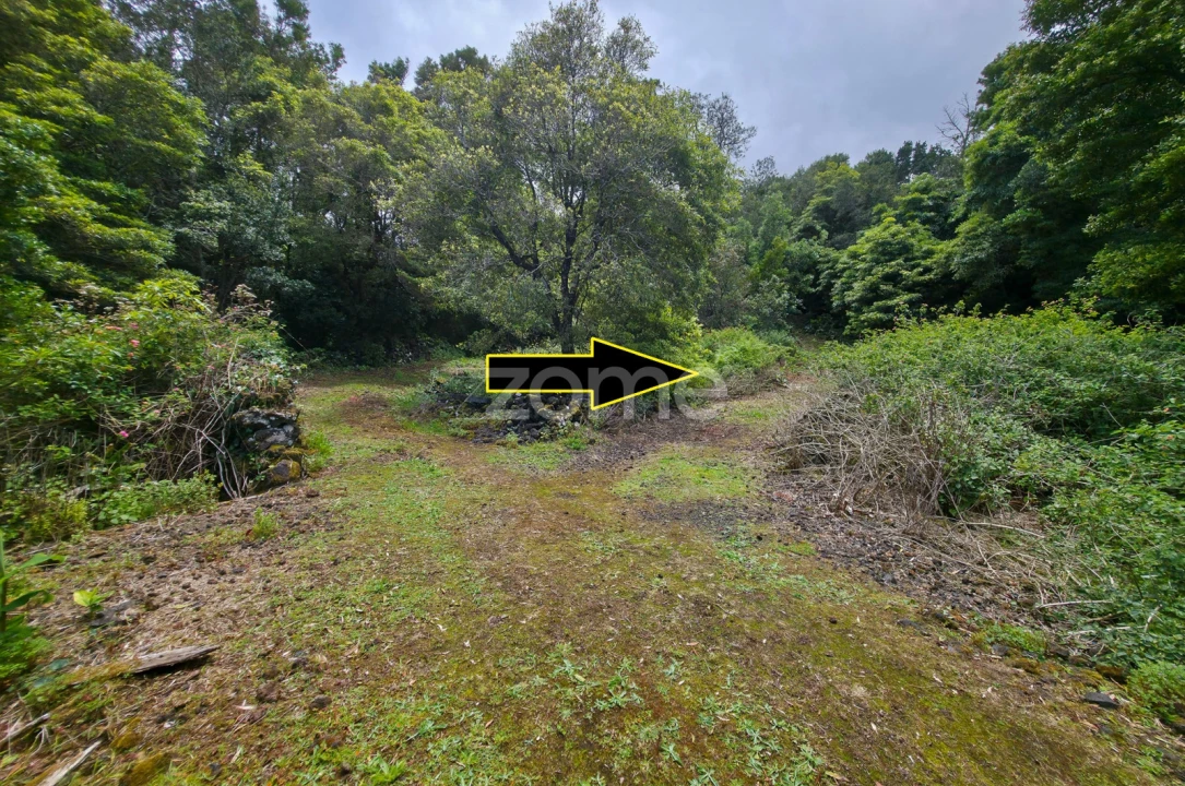 Terreno para Venda em São Roque do Pico Foto 9