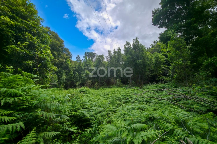 Terreno para Venda em São Roque do Pico Foto 16