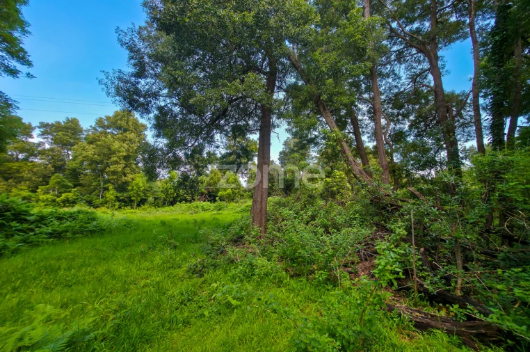 Terreno para Venda em São Roque do Pico Foto 15