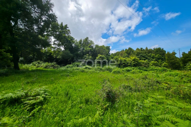 Terreno para Venda em São Roque do Pico Foto 12