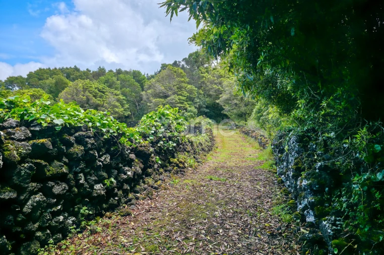 Terreno para Venda em São Roque do Pico Foto 6
