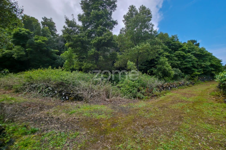 Terreno para Venda em São Roque do Pico Foto 8