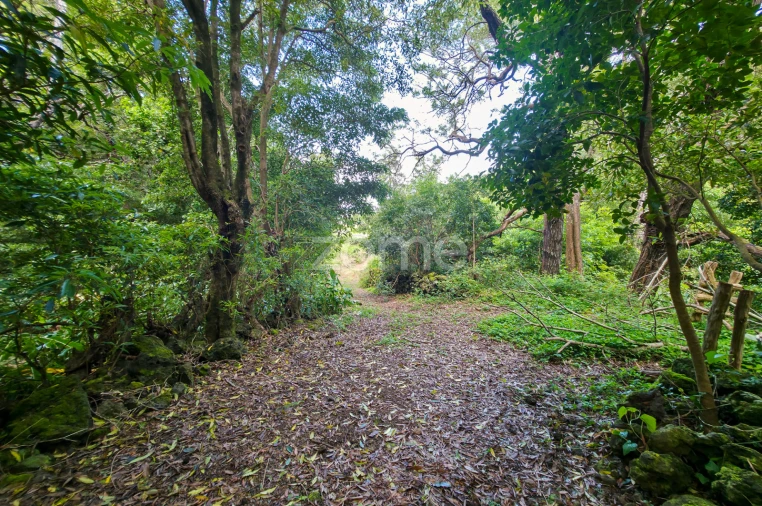Terreno para Venda em São Roque do Pico Foto 11