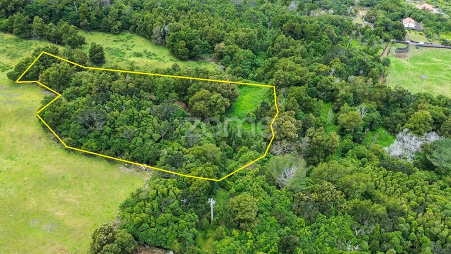 Terreno para Venda em São Roque do Pico