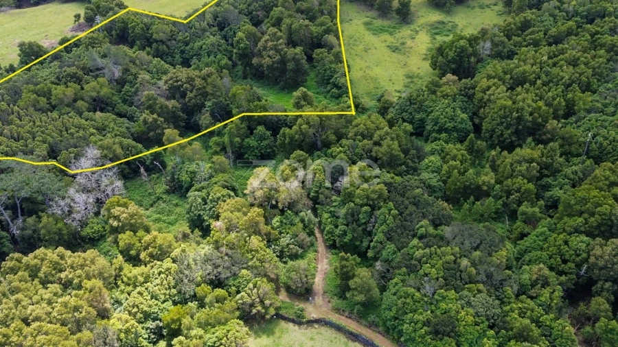 Terreno para Venda em São Roque do Pico