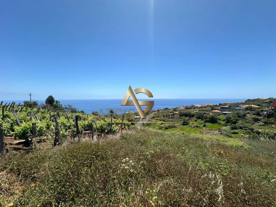 Terreno para Venda em Estreito da Calheta Foto 8
