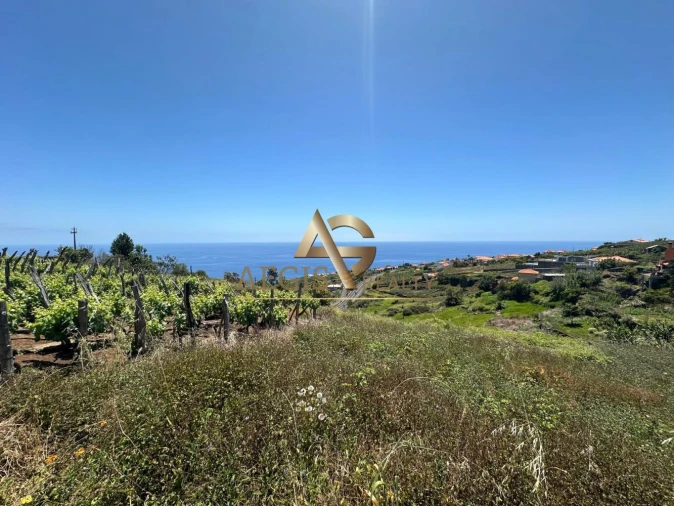 Terreno para Venda em Estreito da Calheta Foto 8
