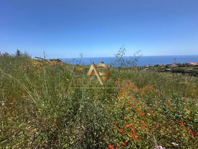 Terreno para Venda em Estreito da Calheta Foto 5