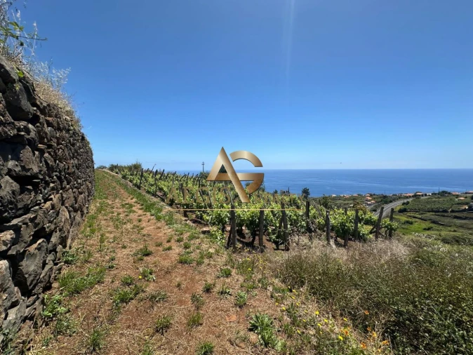 Terreno para Venda em Estreito da Calheta Foto 9