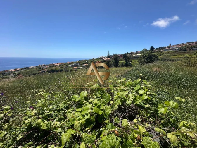 Terreno para Venda em Estreito da Calheta Foto 7