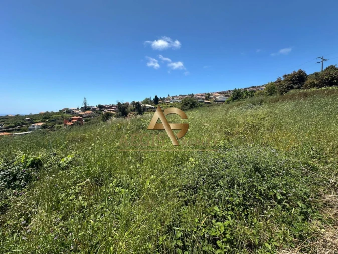 Terreno para Venda em Estreito da Calheta Foto 3