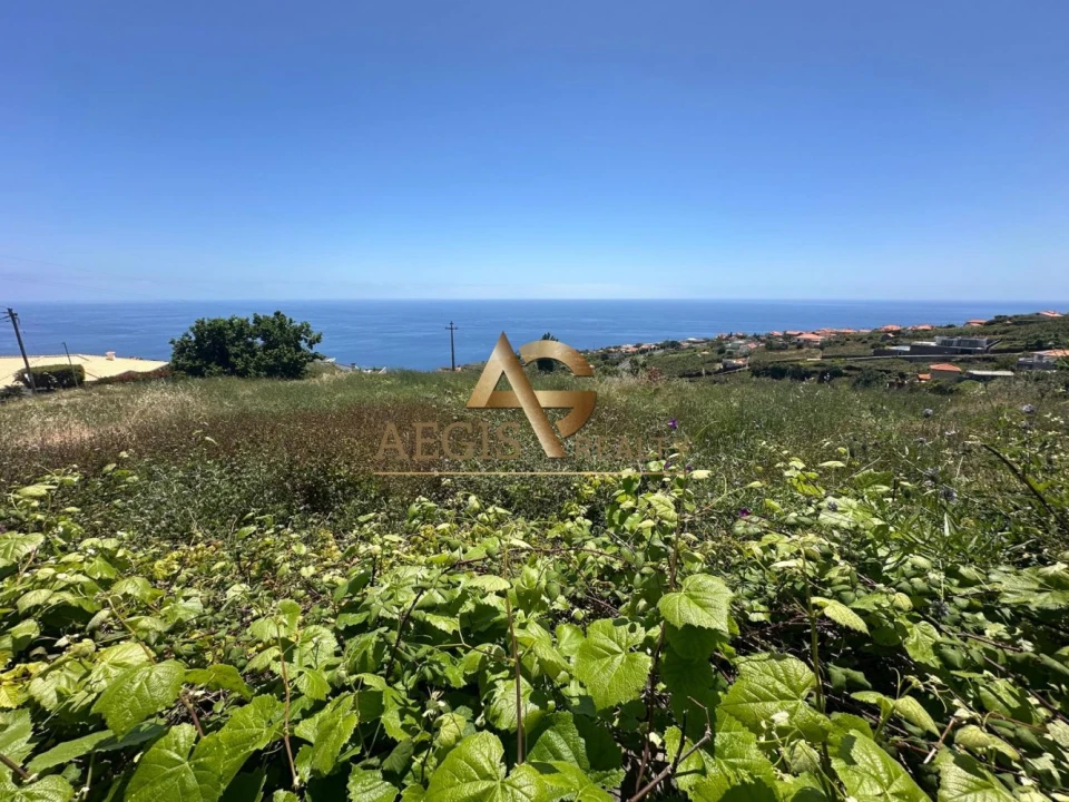 Terreno para Venda em Estreito da Calheta Foto 4