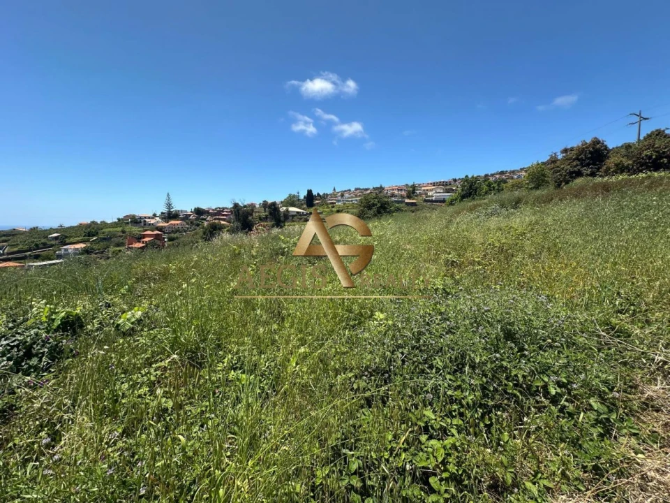 Terreno para Venda em Estreito da Calheta Foto 3