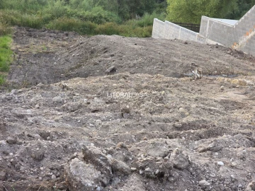 Terreno para Venda em Cacia