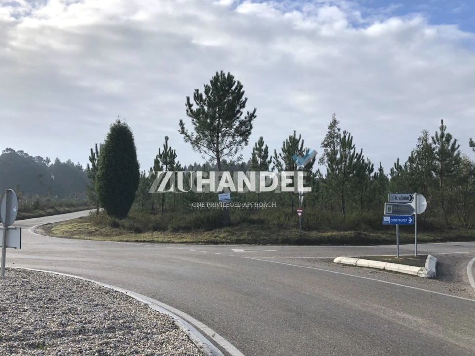 Terreno para Venda em Avelãs de Caminho Foto 3