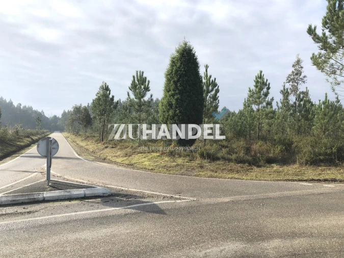 Terreno para Venda em Avelãs de Caminho Foto 1