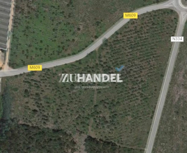 Terreno para Venda em Avelãs de Caminho Foto 5