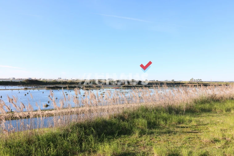 Moradia T3 para Venda em Santa Joana Foto 10