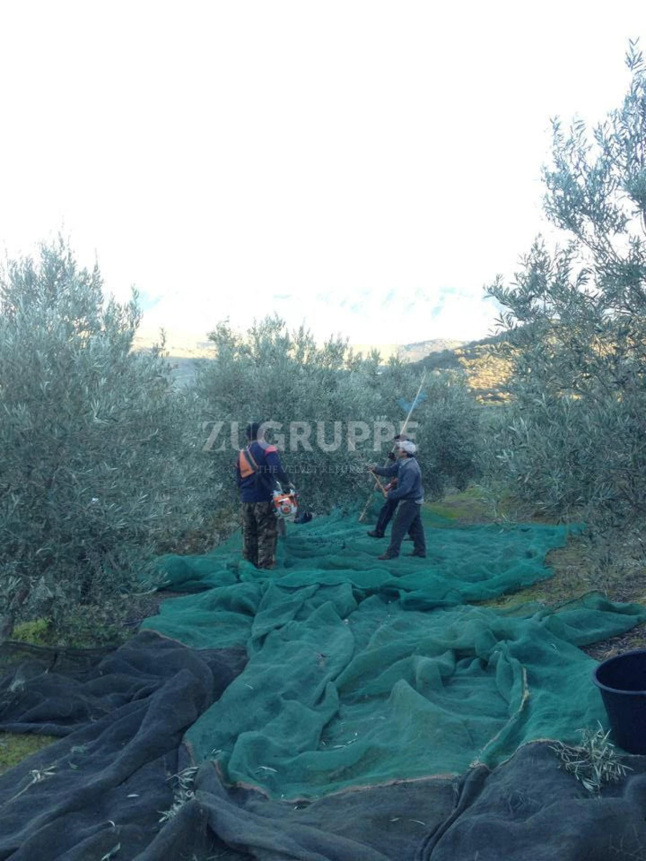 Quinta para Venda em Vila Flor e Nabo Foto 4