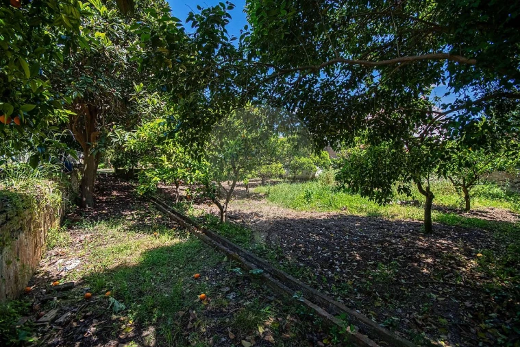 Quinta T0 para Venda em Vila Franca de Xira Foto 9