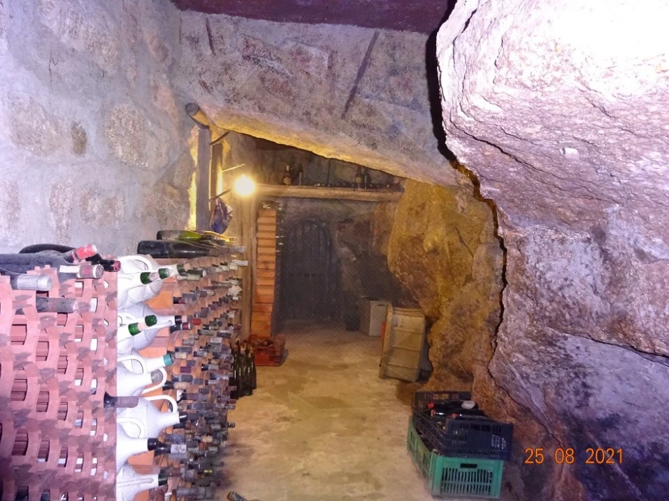 Quinta T5 para Venda em Moreira de Conegos Foto 20