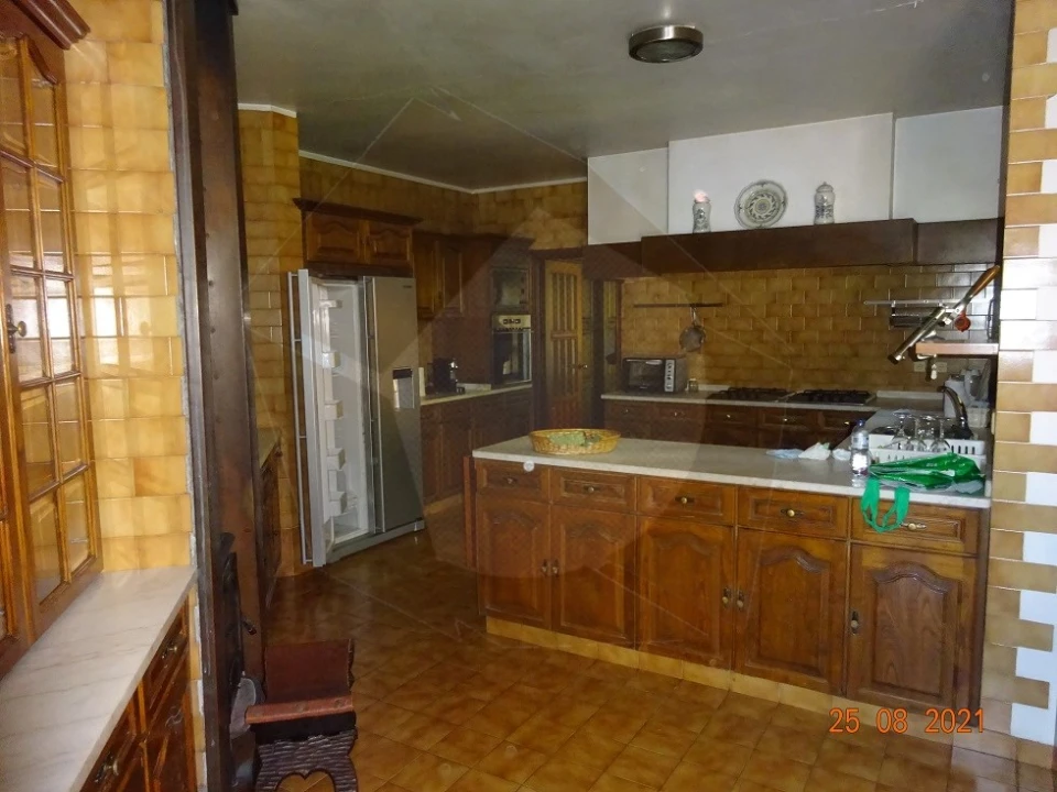 Quinta T5 para Venda em Moreira de Conegos Foto 14