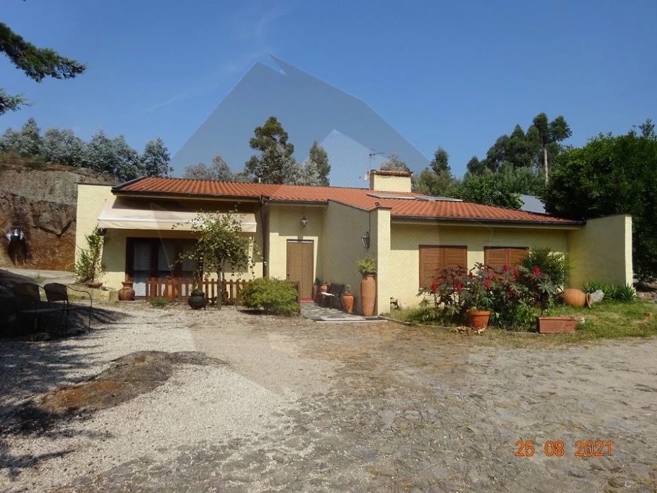 Quinta T5 para Venda em Moreira de Conegos Foto 4