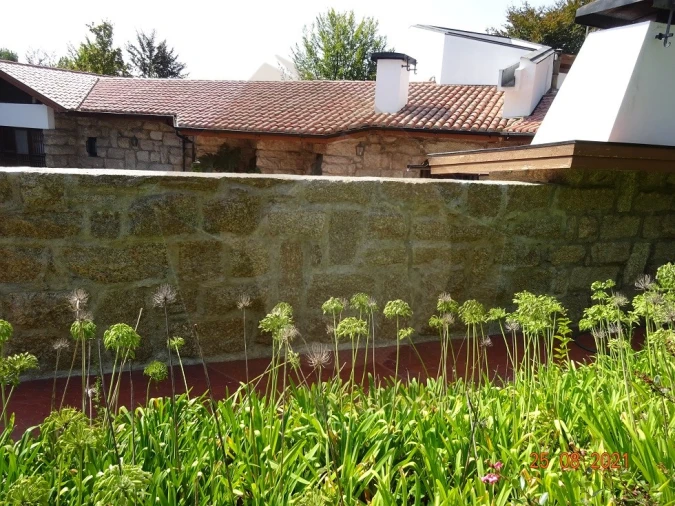 Quinta T5 para Venda em Moreira de Conegos Foto 3