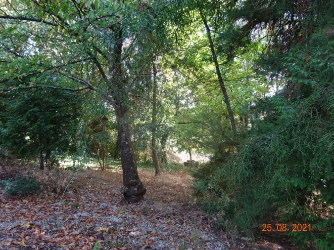 Quinta T5 para Venda em Moreira de Conegos Foto 21