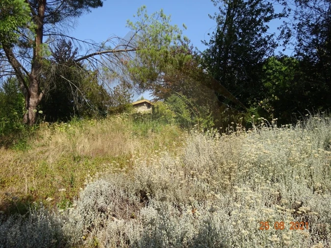 Quinta T5 para Venda em Moreira de Conegos Foto 23