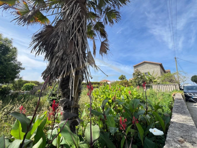 Moradia T6 para Venda em Vila Chã Foto 35