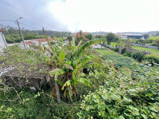 Moradia T6 para Venda em Vila Chã Foto 57