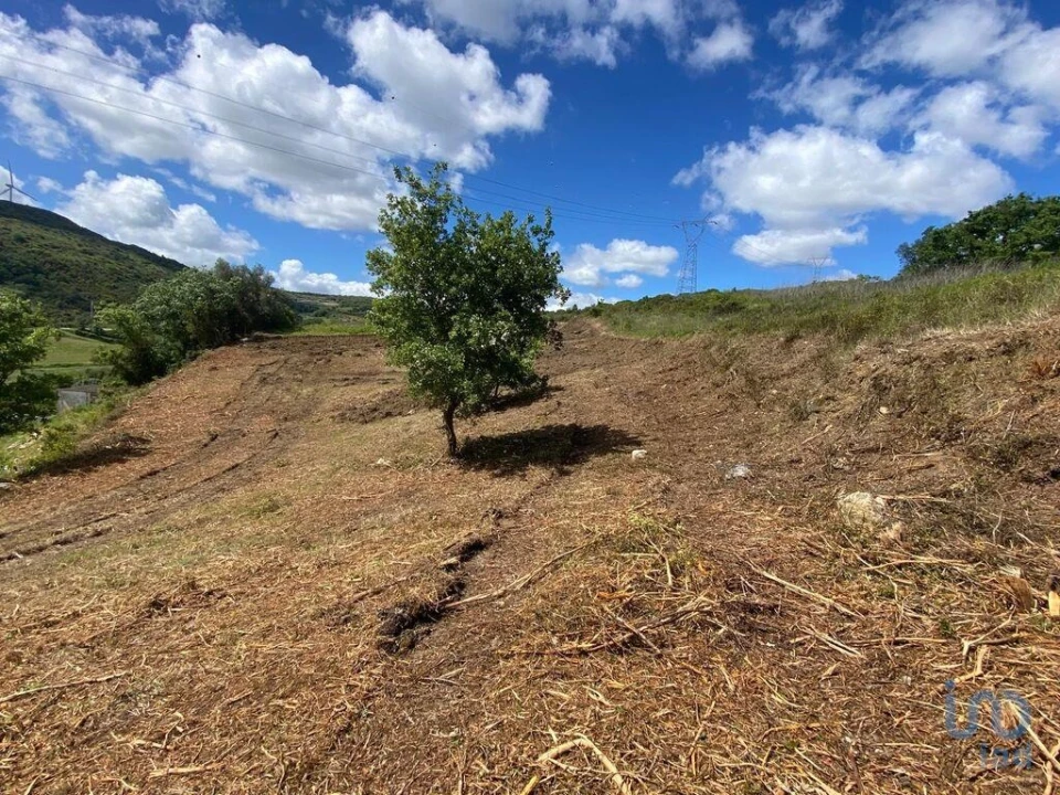 Terreno para Venda em Arranho Foto 4