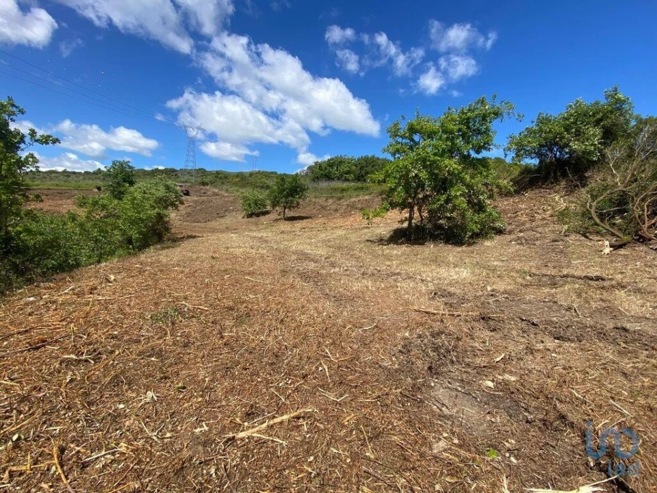 Terreno para Venda em Arranho Foto 3