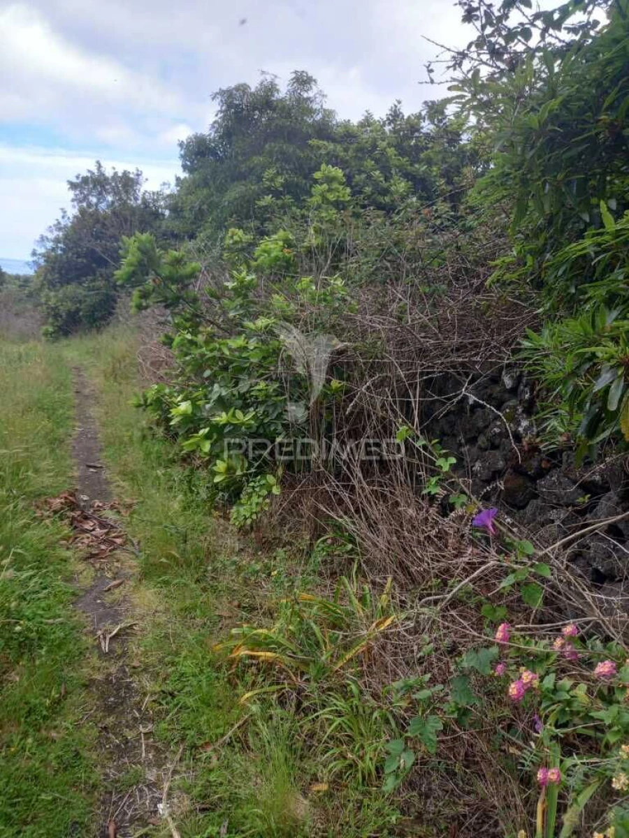 Terreno para Venda em Porto Martins Foto 3