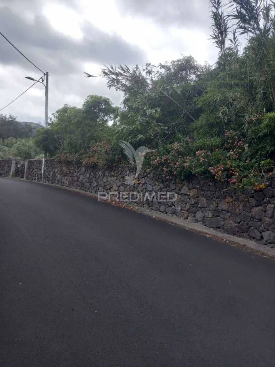 Terreno para Venda em Porto Martins Foto 7
