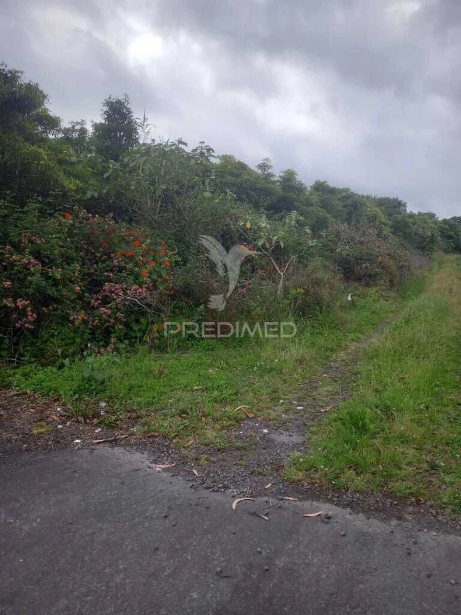 Terreno para Venda em Porto Martins Foto 6