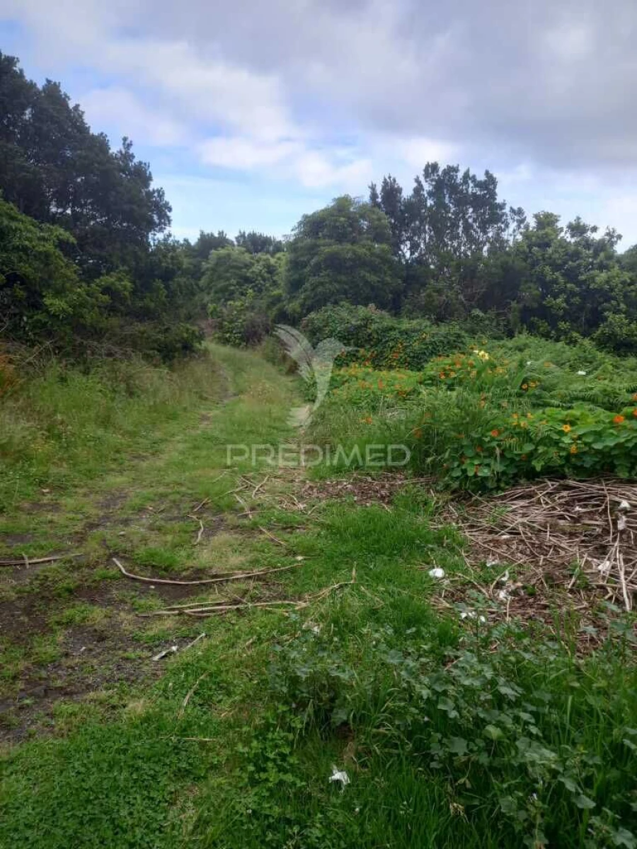 Terreno para Venda em Porto Martins Foto 5