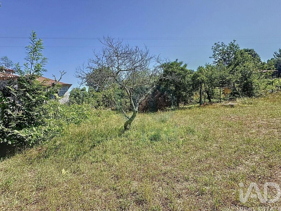 Moradia T6 para Venda em Travassos Foto 27