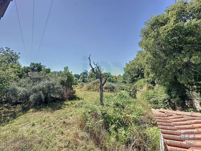 Moradia T6 para Venda em Travassos Foto 5