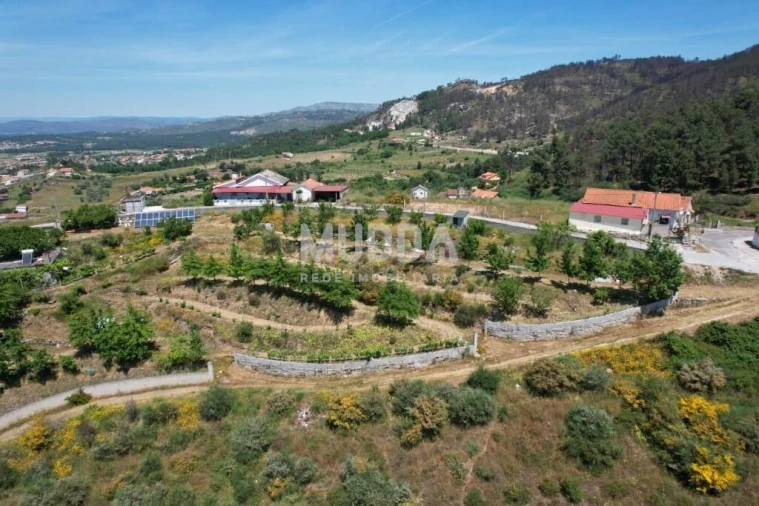 Terreno para Venda em Faiões Foto 4