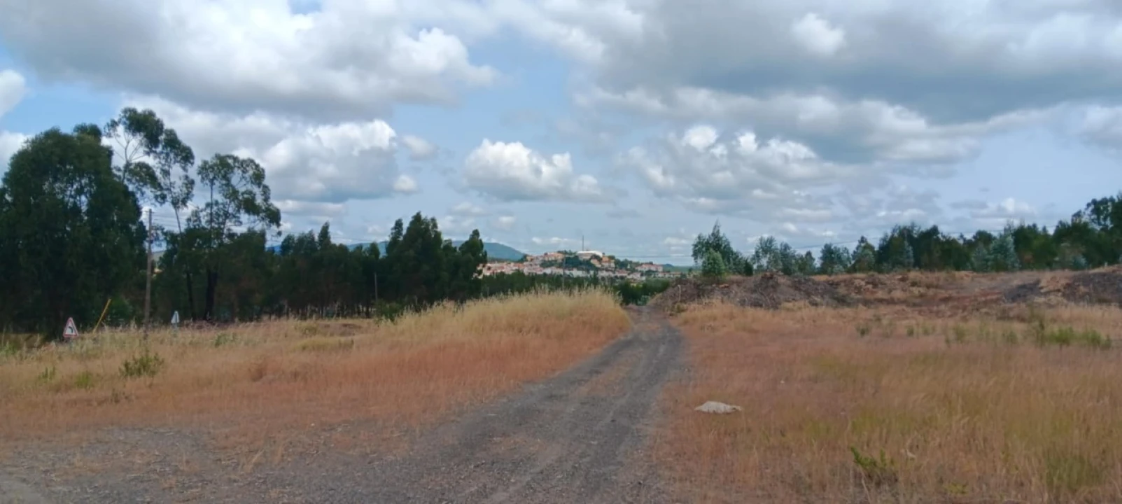 Terreno para Arrendamento em Mação, Penhascoso e Aboboreira Foto 7