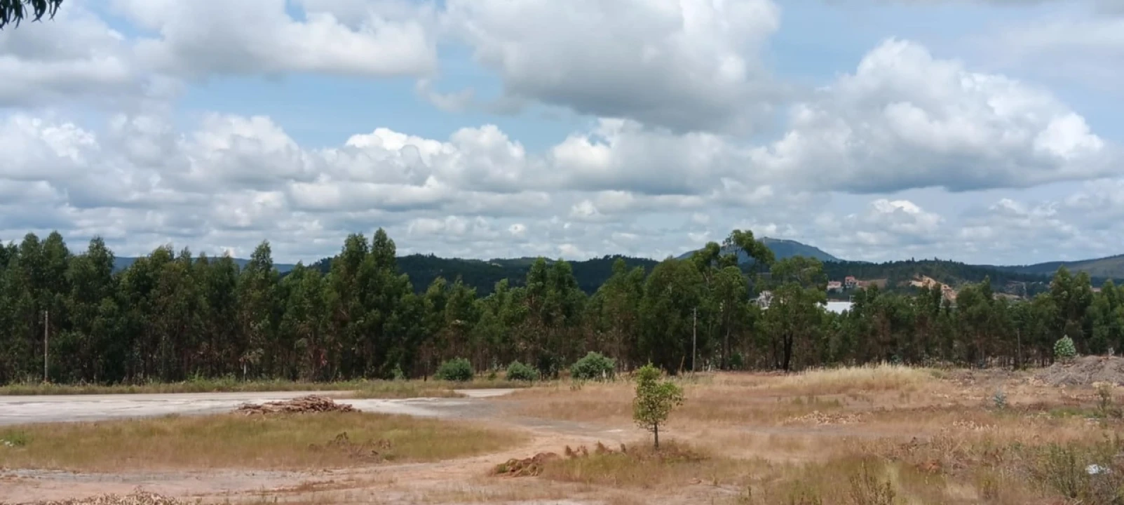 Terreno para Arrendamento em Mação, Penhascoso e Aboboreira Foto 9