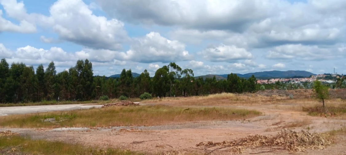 Terreno para Arrendamento em Mação, Penhascoso e Aboboreira Foto 11