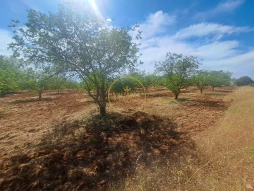 Terreno para Venda em Paderne