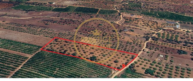 Terreno para Venda em Paderne
